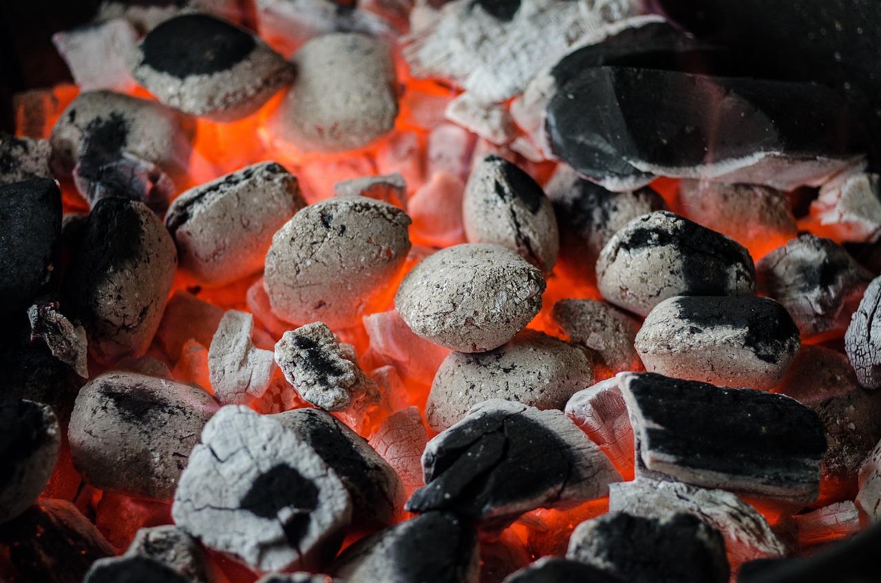 Pode Fazer Churrasco na Praia: Regras e Onde É Permitido