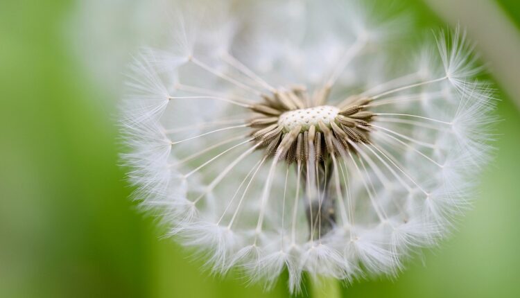 Seed para Minecraft 1.20: As melhores para mundos épicos