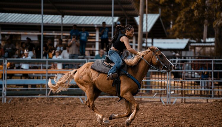 Filme de faroeste Netflix: Os melhores títulos disponíveis