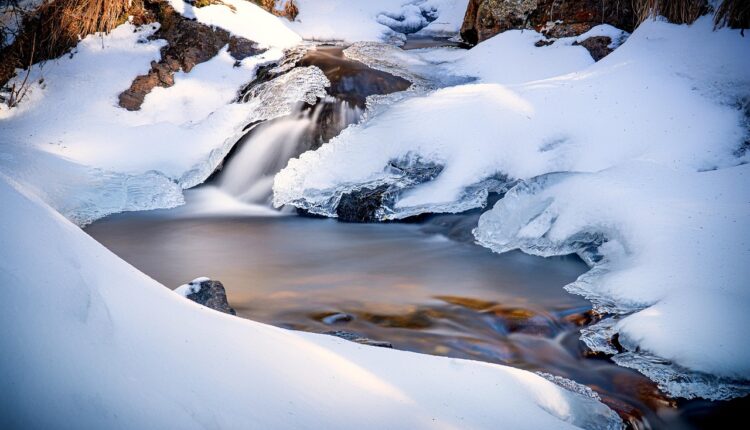 Nome dos personagens da Era do Gelo: Quem é quem na animação