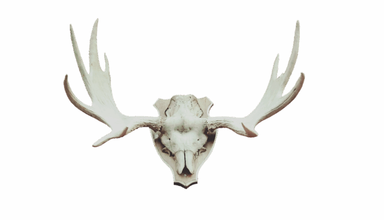 Ahn Hyo-seop: Os Projetos que Colocaram Seu Nome no Topo