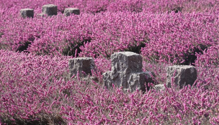 Chad Boyce The 100: Quem Era e Homenagem na Série