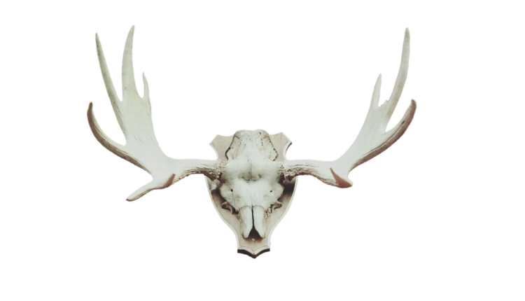 100 Palavras de Elogios: Lista Completa para Usar