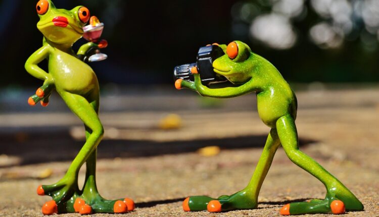 Melhor Forma de Tomar Campari: Drinks e Receitas Clássicas