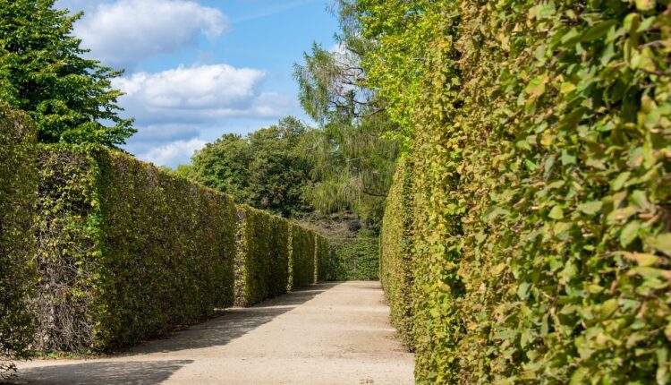 Onde Assistir Maze Runner: Plataformas de Streaming 2025