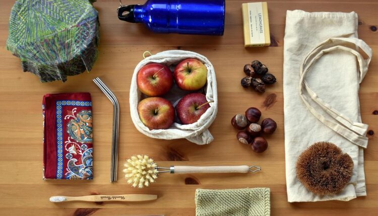 Sustentabilidade: ações simples que fazem diferença no dia a dia