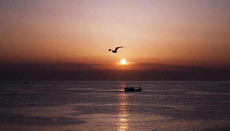 Frases Bonitas de Bom Dia: Mensagens Carinhosas