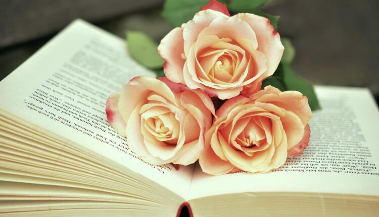 Melhores Livros de Marketing: Top 20 Essenciais 2025