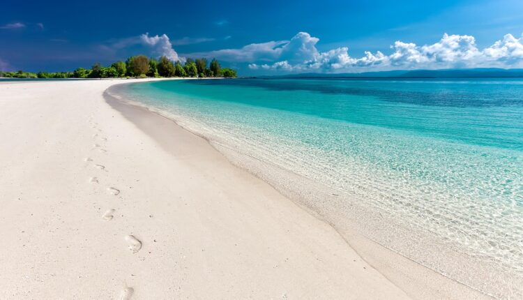 Praia Prumirim é Boa: Análise Completa de Ubatuba
