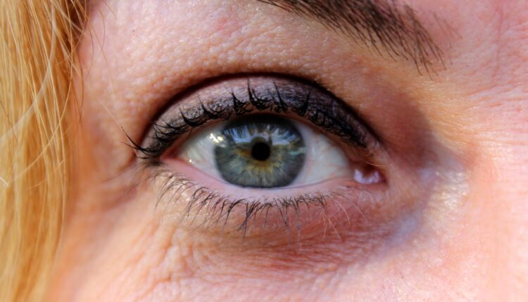 Qual a Única Parte do Corpo que Não Recebe Sangue: Córnea