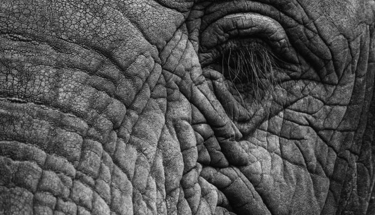 Lugares para Tatuar Nome do Namorado: Ideias Discretas